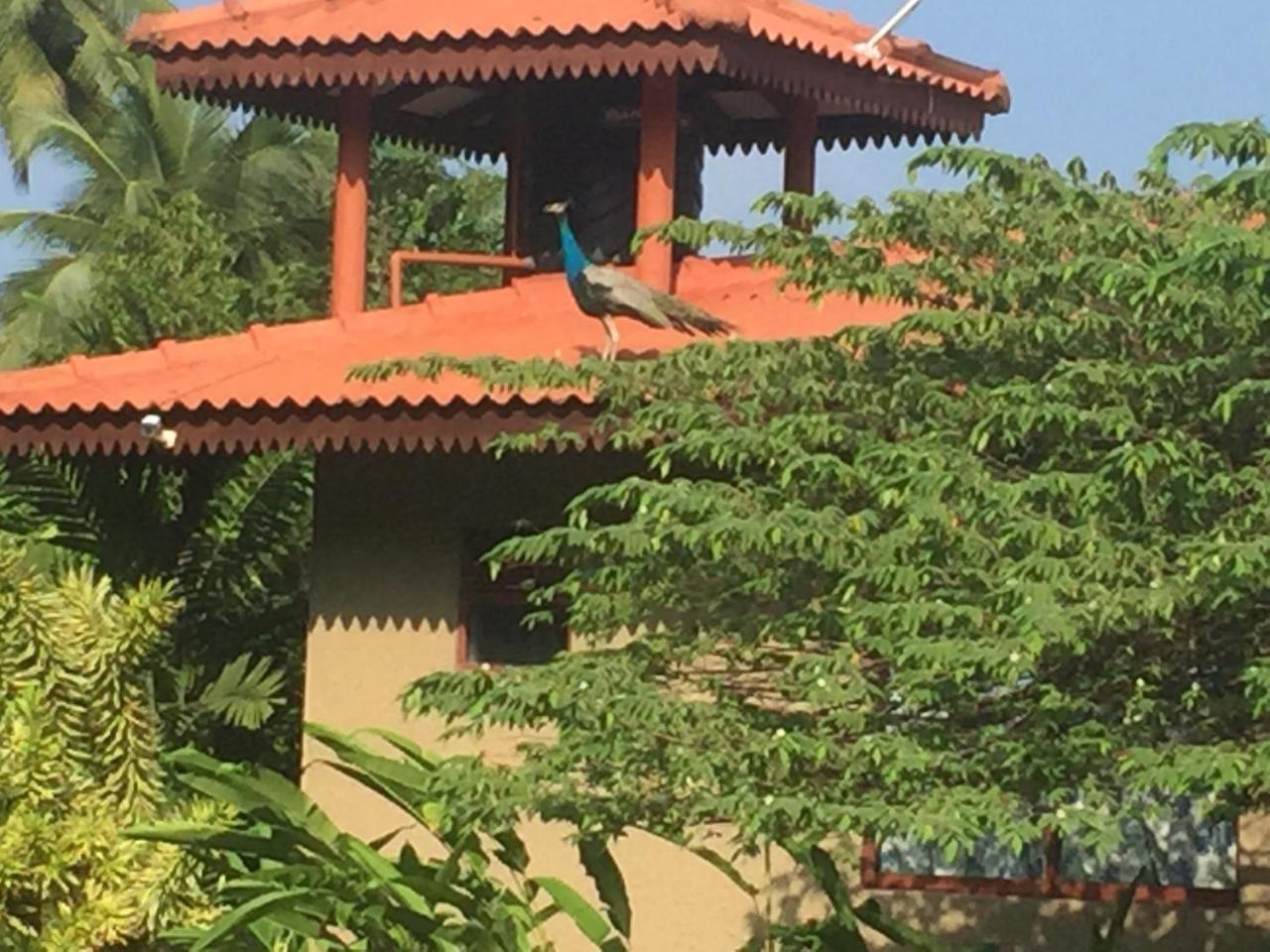 Mass Eco Cabana Yoga & Spa - Unawatuna Luaran gambar